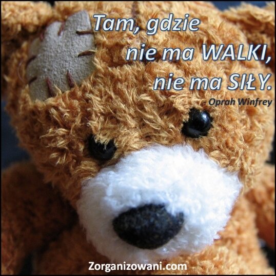 Cytaty motywacja motywujące cytaty grafiki i obrazki