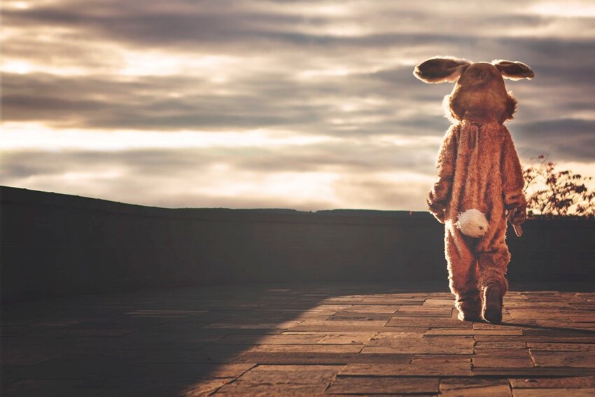 Amortyzacja, czyli jak przewidzieć swoją przyszłość | niezależność finansowa