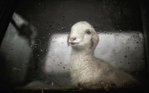 Co nam przeszkadza dobrze spać | efektywny sen