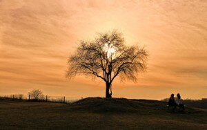 jak zwolnić tempo życia