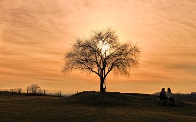 jak zwolnić tempo życia