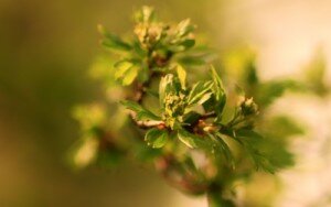 jak zacząć żyć na nowo