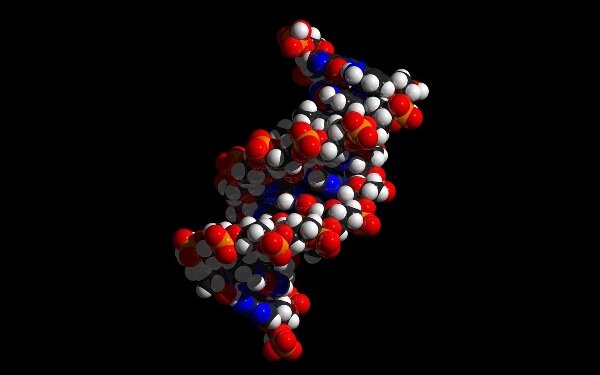 Najczęstsze błędy podczas nauki Zorganizowani