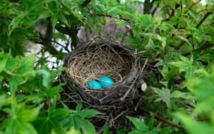 Jak się zorganizować i mieć czas na to co ważne Zorganizowani Dawid Machalica