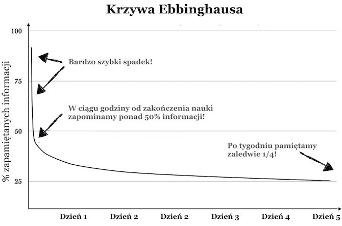 Krzywa Ebbinghausa Krzywa zapominania Inteligentne powtórki efektywne Zorganizowani
