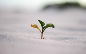 Czym jest model GROW (Coaching) Dawid Machalica