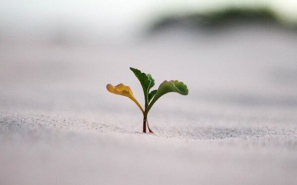 Czym jest model GROW (Coaching) Dawid Machalica