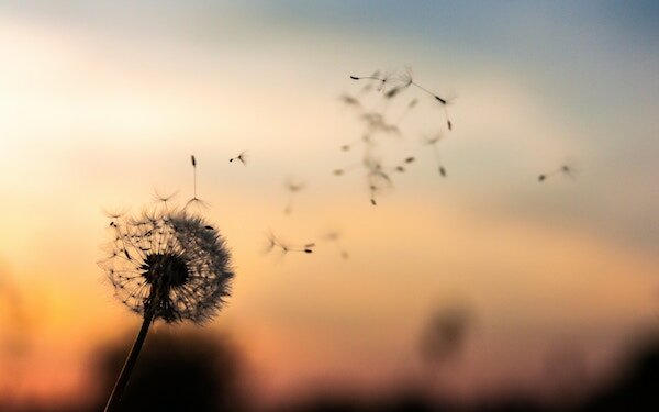 Jak wrócić do pracy po urlopie? fot Dawid Zawila